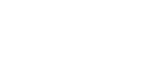 מרצות הקורס